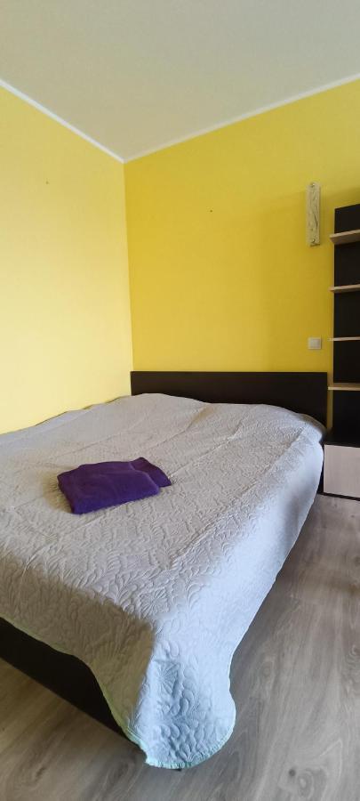 Adeles Apartamentai Panevezyje Panevėžys Extérieur photo